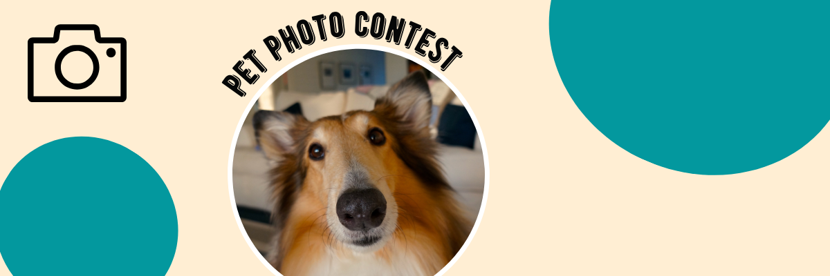 8/4-8/17, Pet Photo Contest