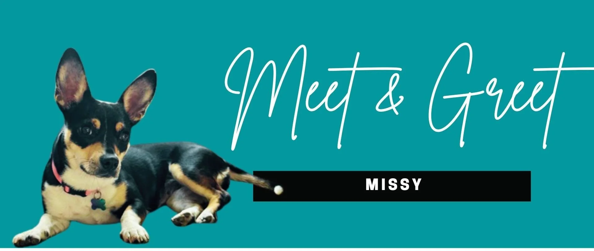 11/16, Missy Meet & Greet
