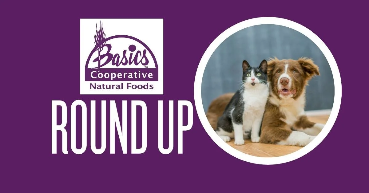 3/1-3/31, Basics Round Up