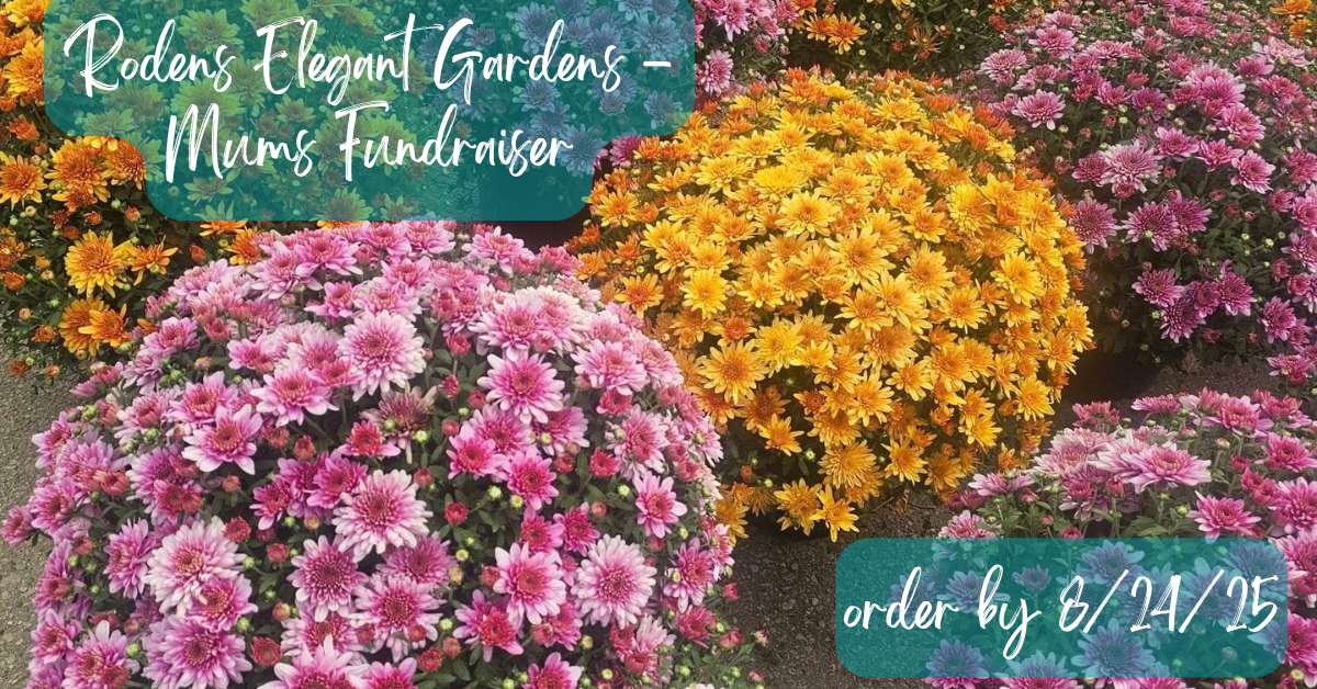 Roden's Flowers Fundraiser