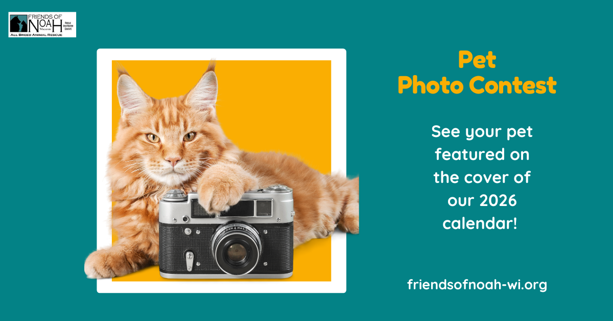 Pet Photo Contest