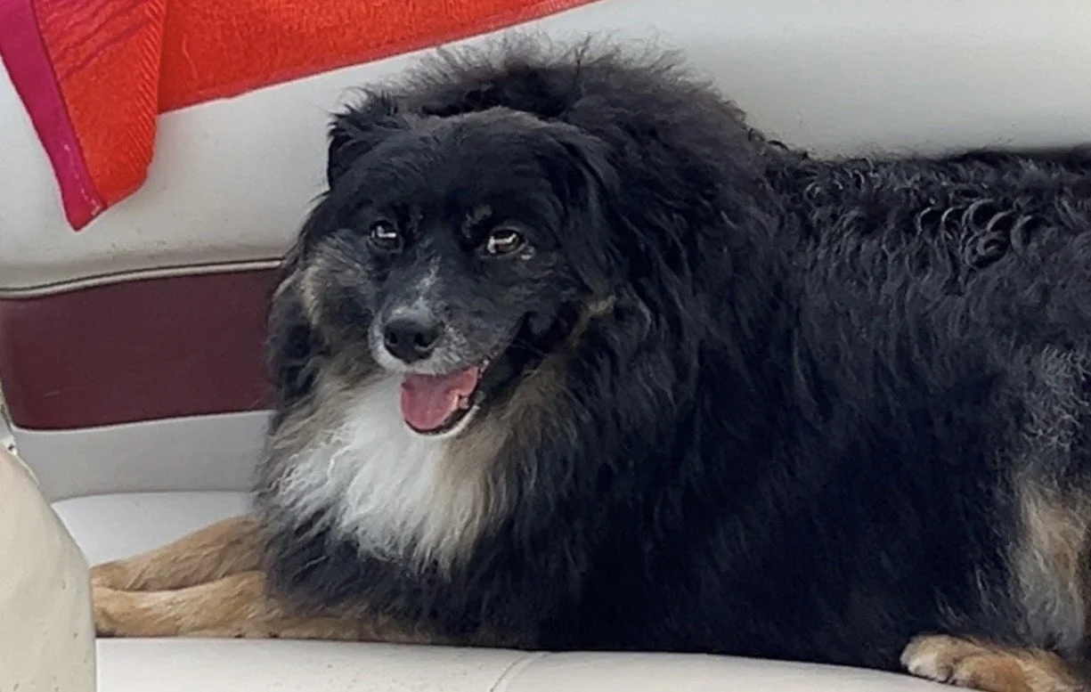 8/25, Noah's Newsletter 