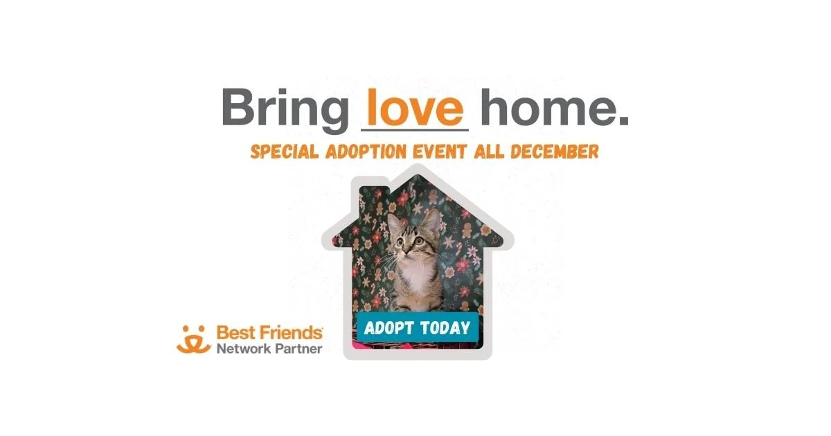 12/1 - 12/31, Bring Love Home Adoption Event 