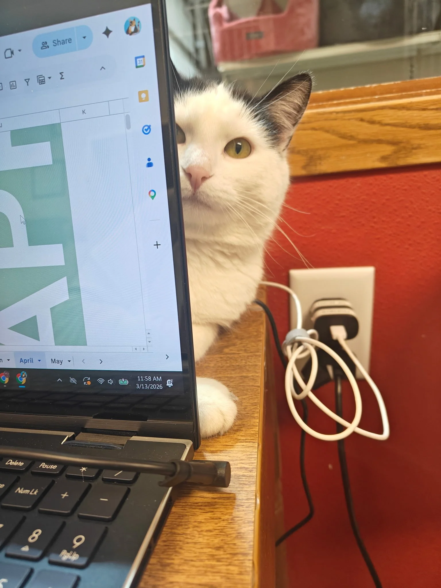 3/26, Noah's Newsletter 