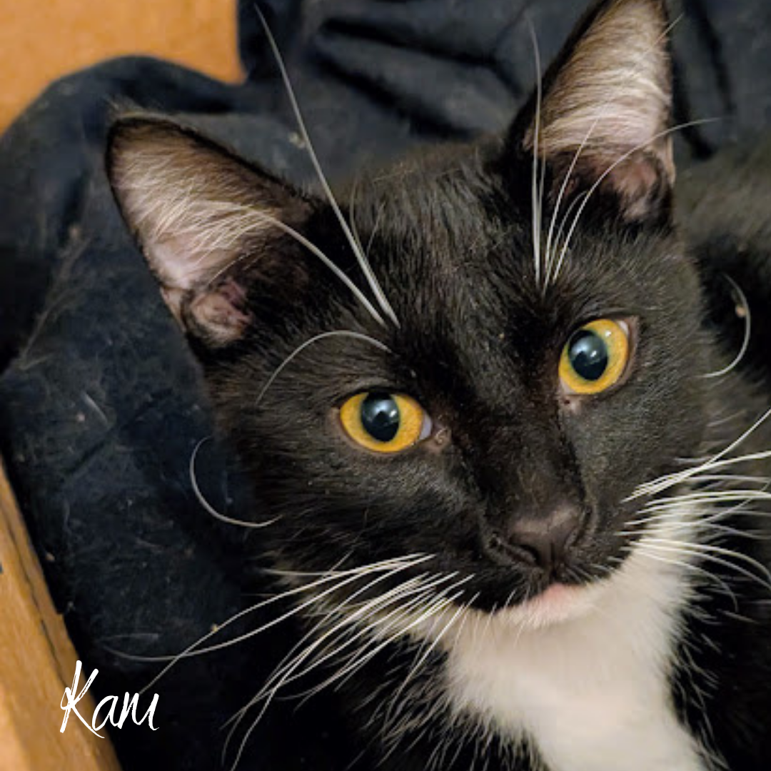 4/26, Noah's Newsletter  