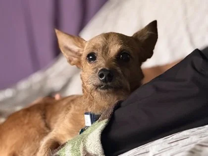 8/26, Noah's Newsletter