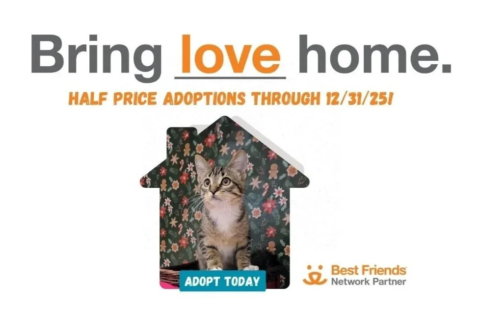 12/1 - 12/31, Bring Love Home Adoption Event — Friends of Noah