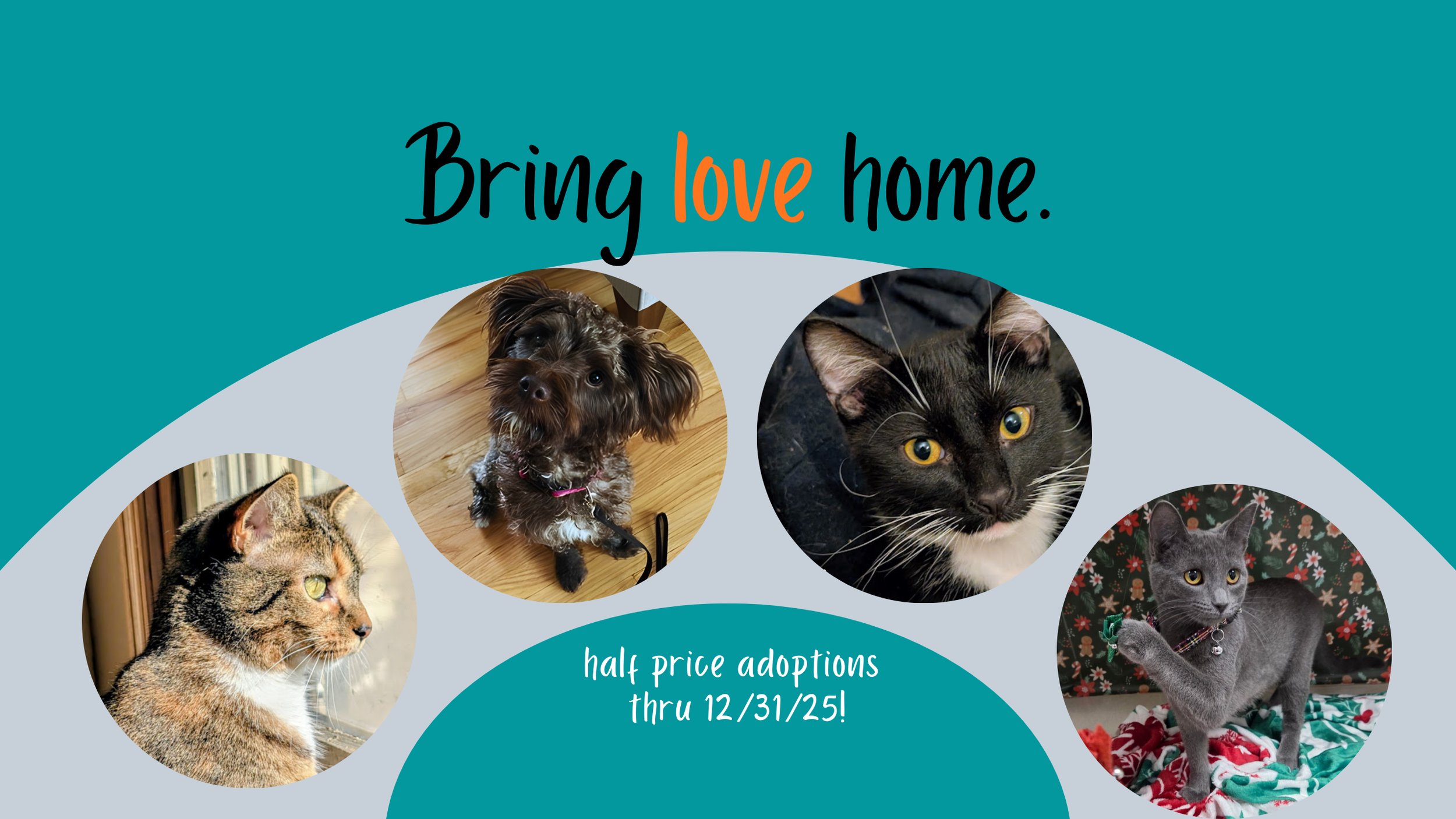 FON Website  (1).png