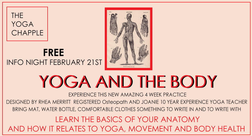 YOGA-AND-THE-BODY2.0.png