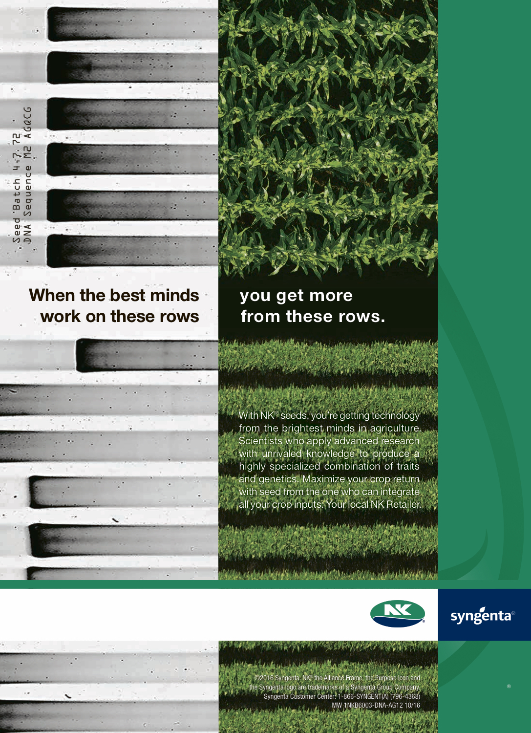  Client: Syngenta // Art:  Liz Korby  // Creative Direction: Jeff Tresidder 