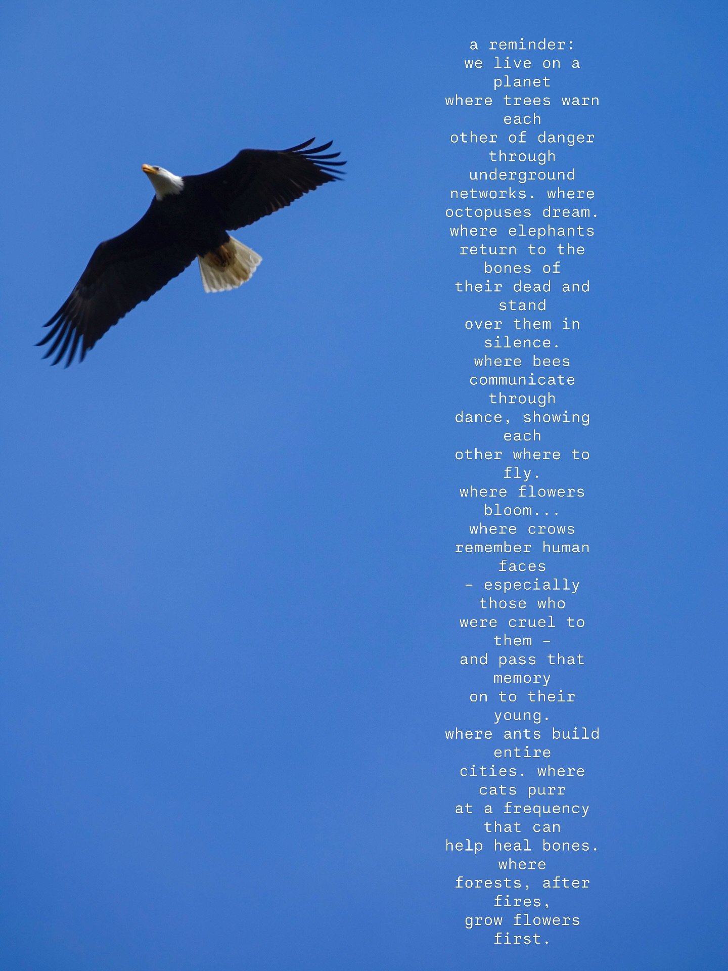 Happy earth day 🌿
Today at Healthy Being, retail is 22% off and if you ask for a cup of tea, we will gift you a blissed out tea on the house! 

For earth day, we will also have a special event going on! Jess will be hosting a community peace meditat