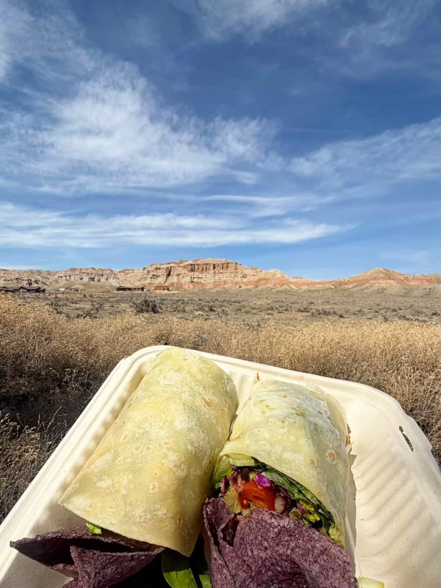 When you send us photos of your HB to go orders pre adventure it makes us extremely happy! What amazing views all around 🙌🏼🤤 and a mighty fine start to an adventure if we might add.
#getoutside #eattherainbow #jacksonhole #jacksonwy #happyadventur