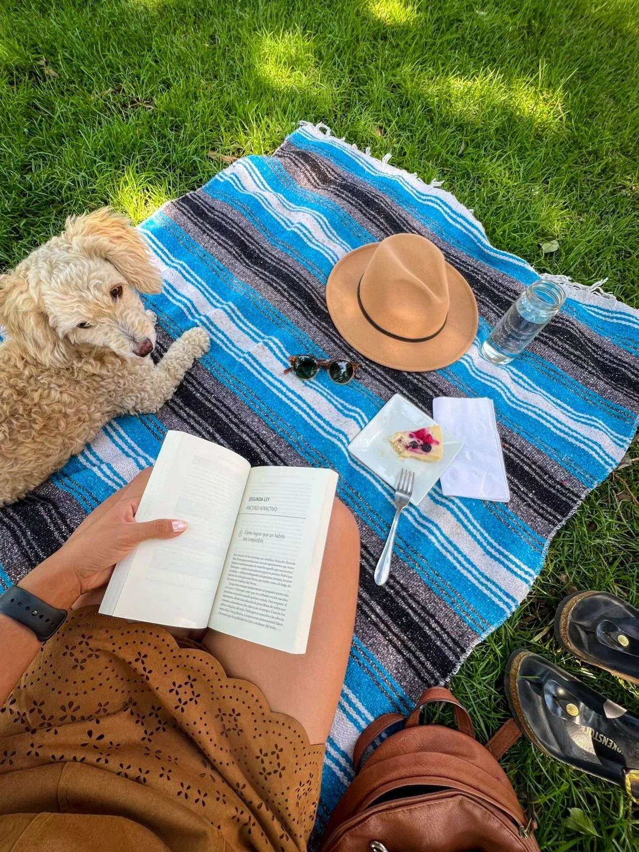 A slice of cheesecake from healthy being, your best friend, and reading in the sunshine ~ that&rsquo;s what we call the perfect afternoon 🙌🏼🌸🍰 This would be a sweet way to celebrate Mother&rsquo;s Day, too - on the lawn, picnic style 
☺️💕

Happy