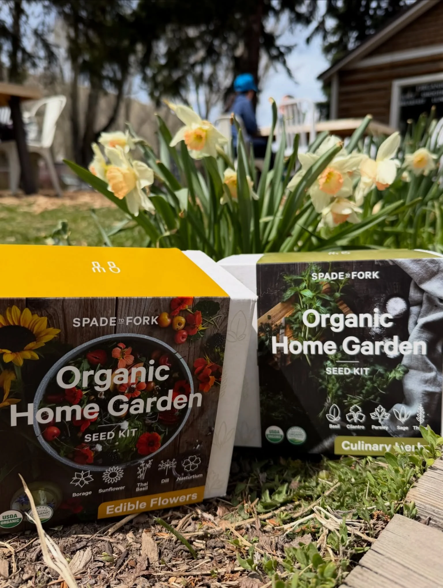 Springtime gifts for you &amp; your garden-loving friends 🌱

Organic seed kits, wellness essentials, and our custom Healthy Being bags made for market mornings, everyday rituals, and perfect for filling with fresh juices and all your HB favorites th