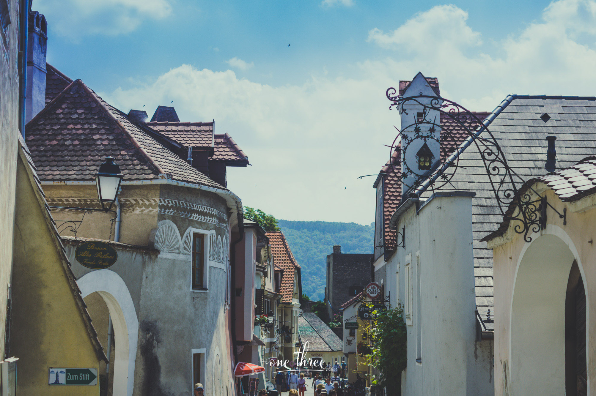 IMGP0982.jpg