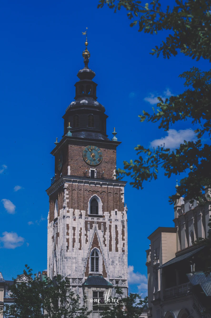 IMGP2295.jpg