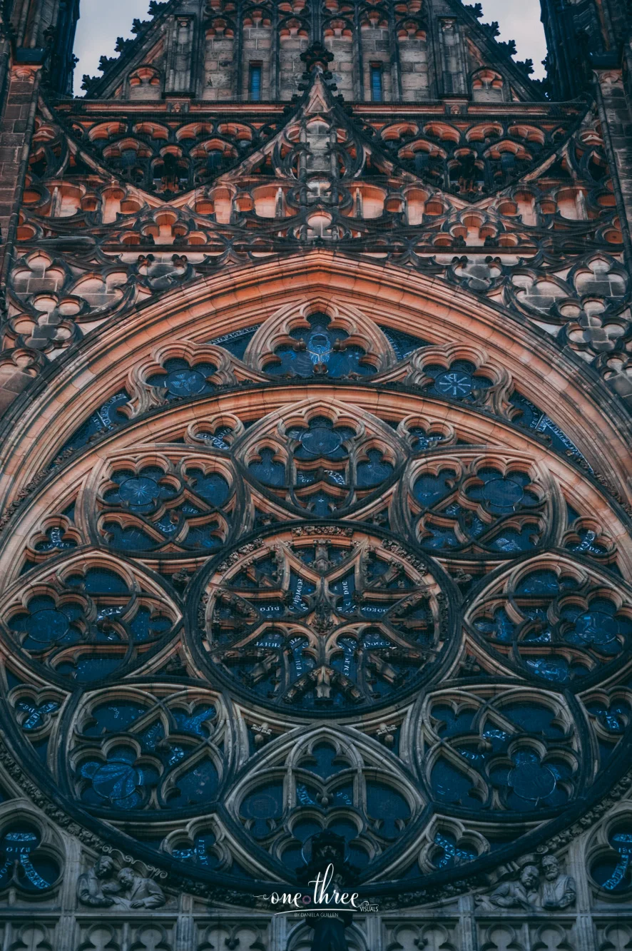 IMGP2433.jpg
