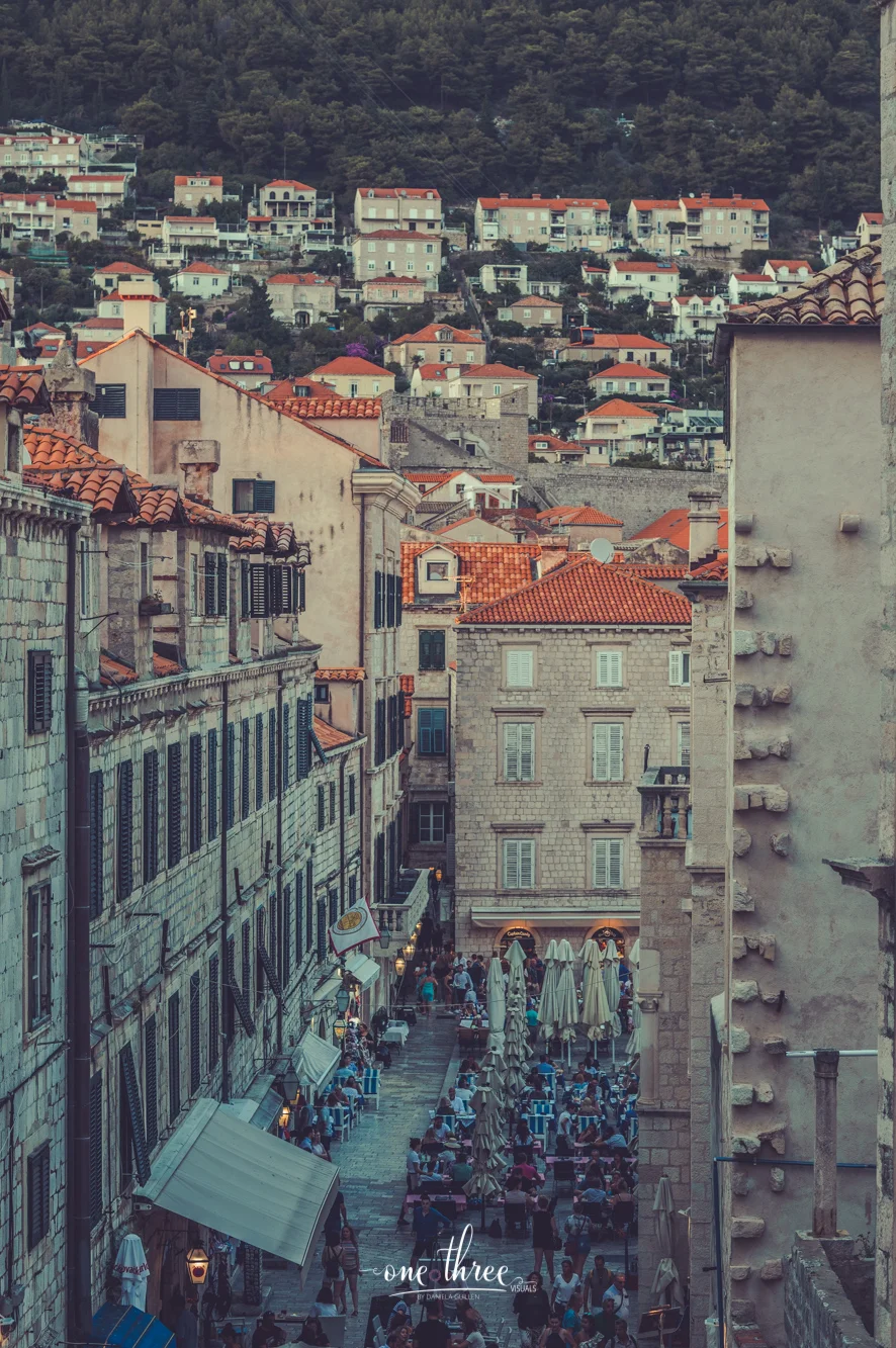 IMGP2704.jpg