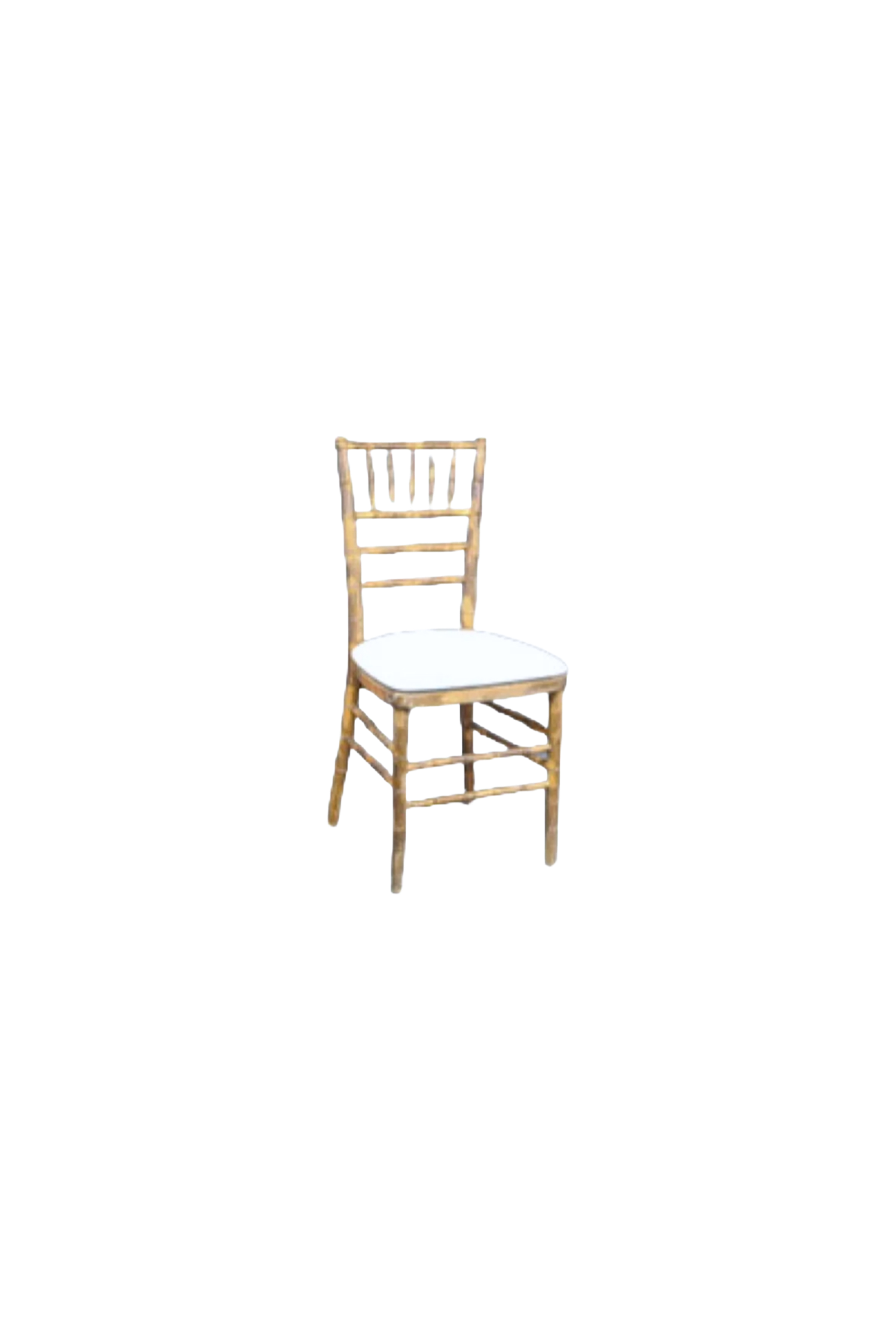 Chiavari Tiger Stripe