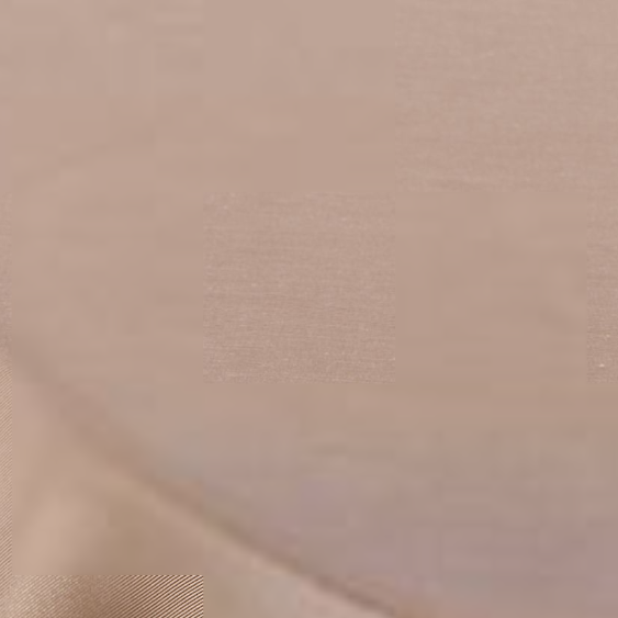 download (5).png