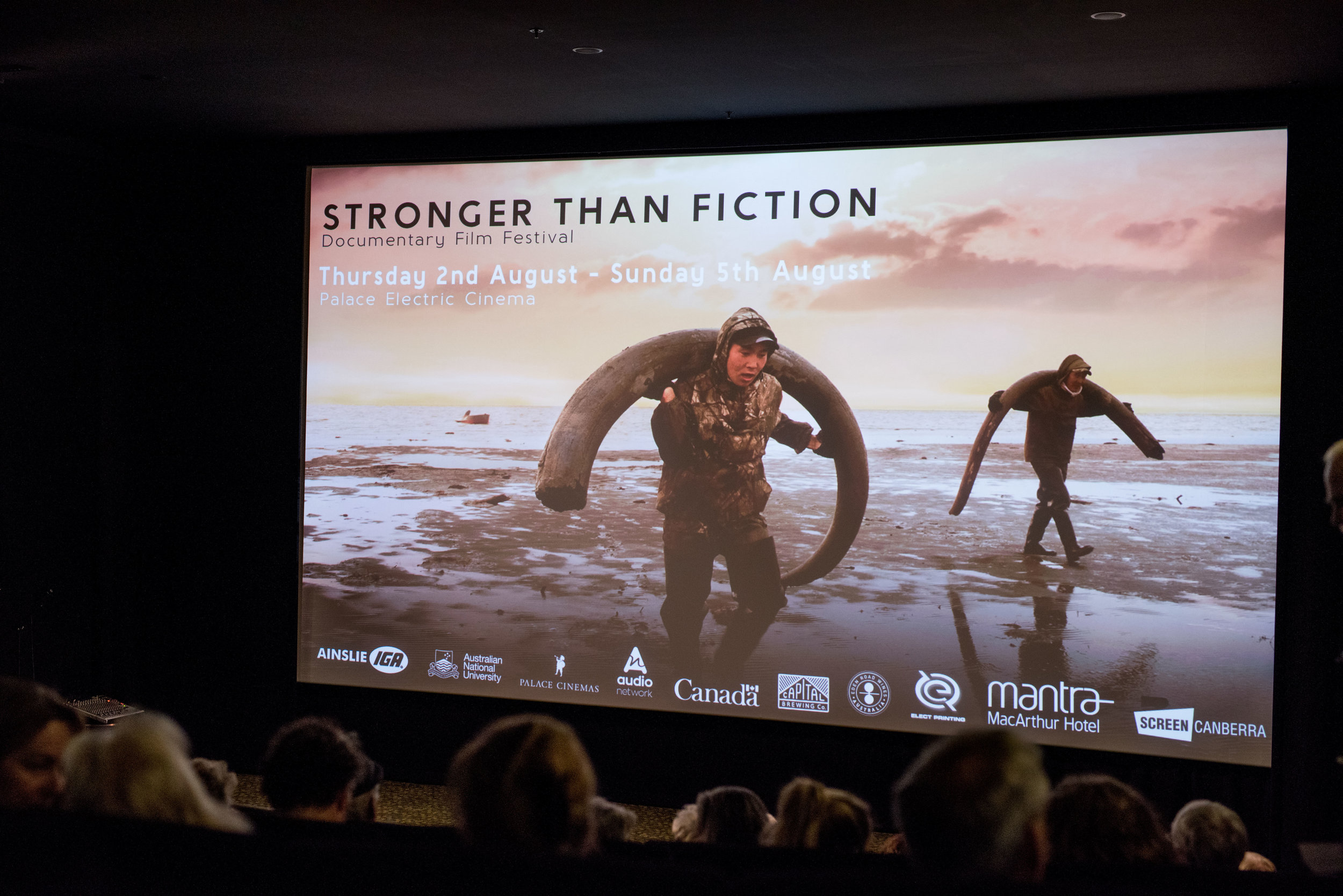 STFF Day 4 (7 of 76).jpg