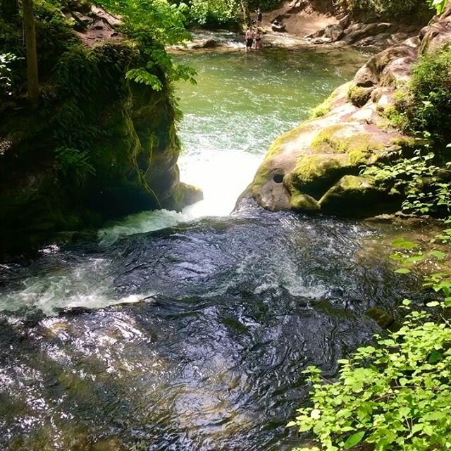 Bellingham&rsquo;s favorite in town swimming hole 😎