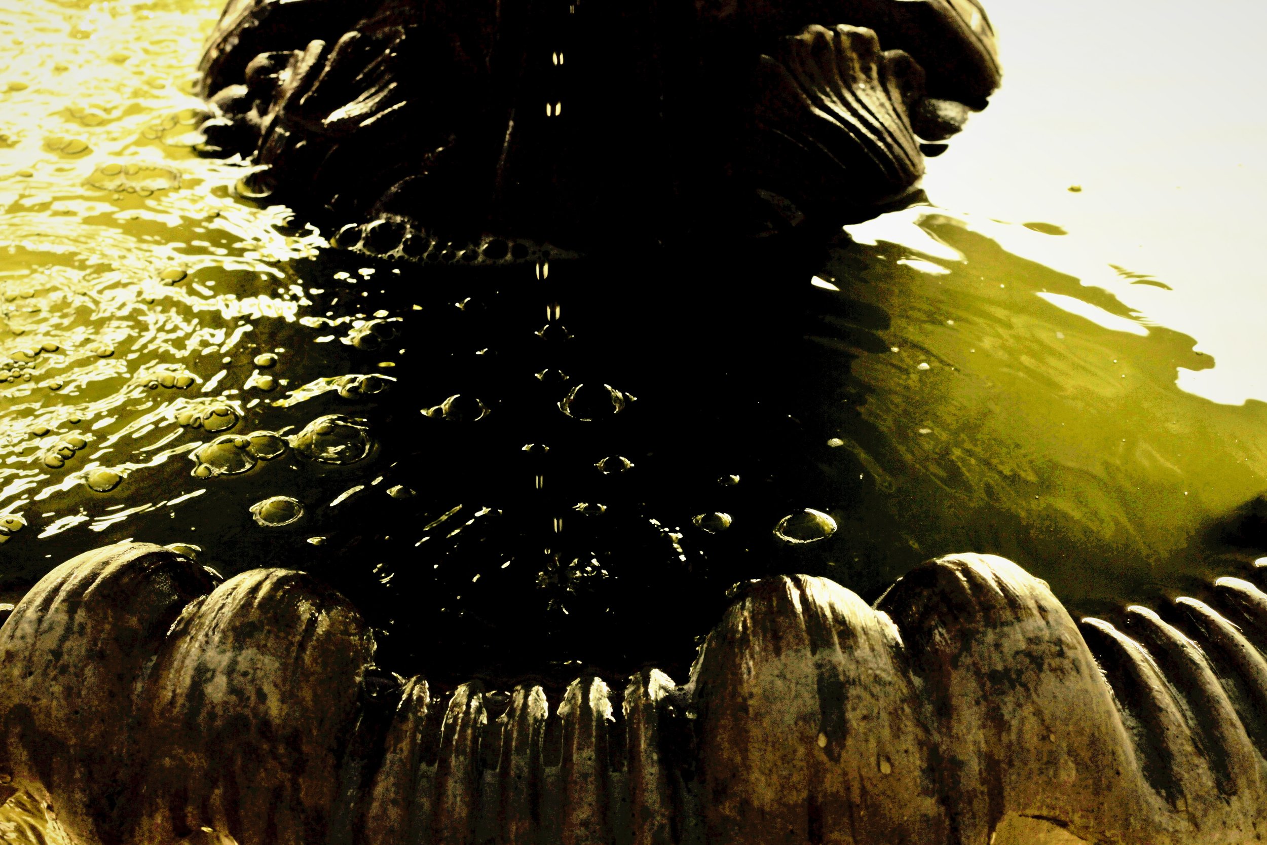 LA Arboretum 02-08-2014 005 (2).JPG