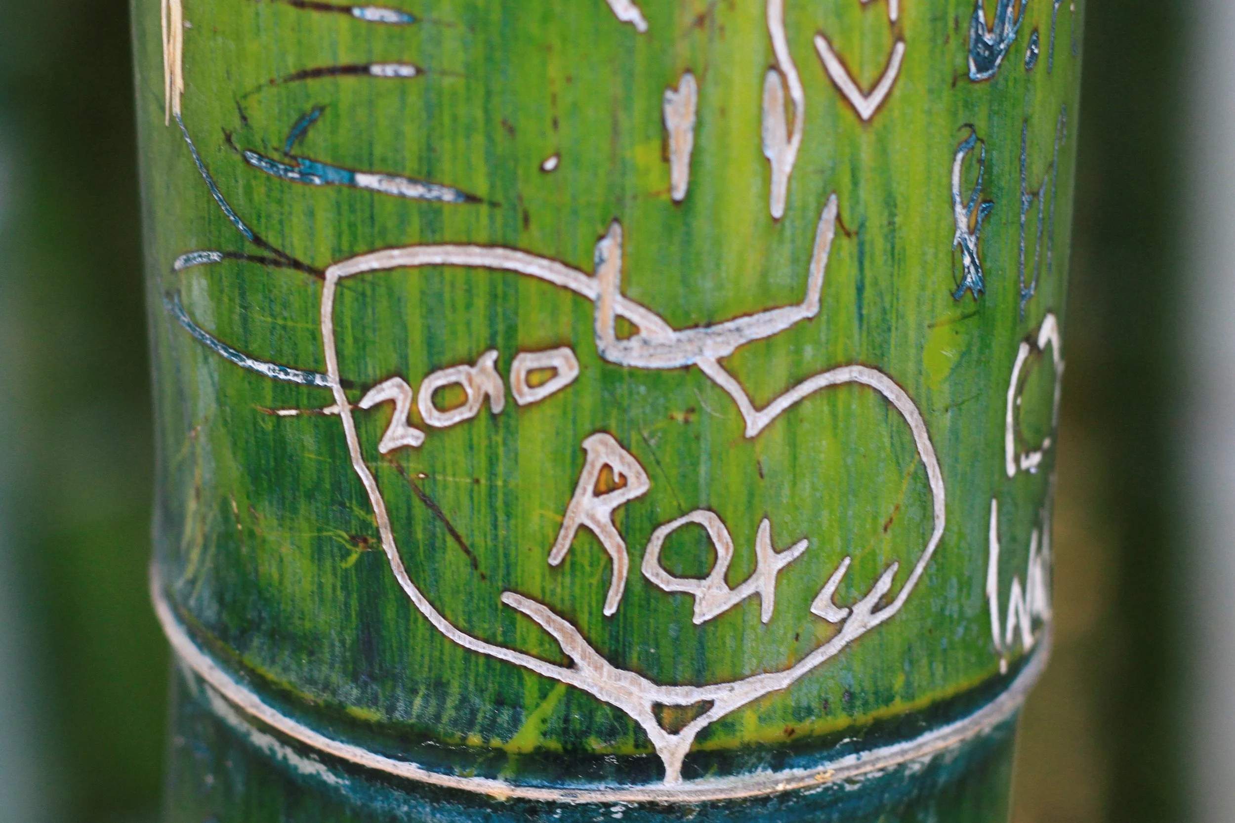 LA Arboretum 02-08-2014 076 (2).JPG