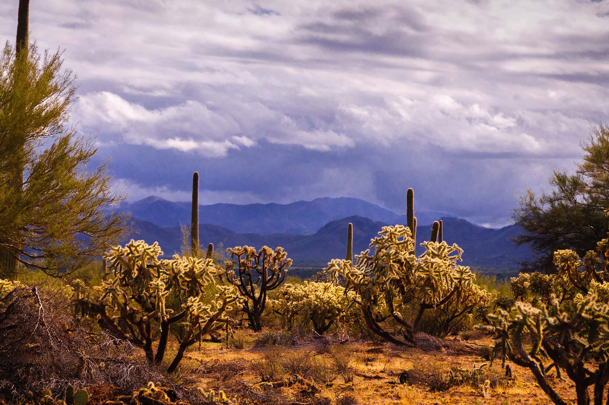  Harness your power of public office to   protect land, air and water    Learn More  