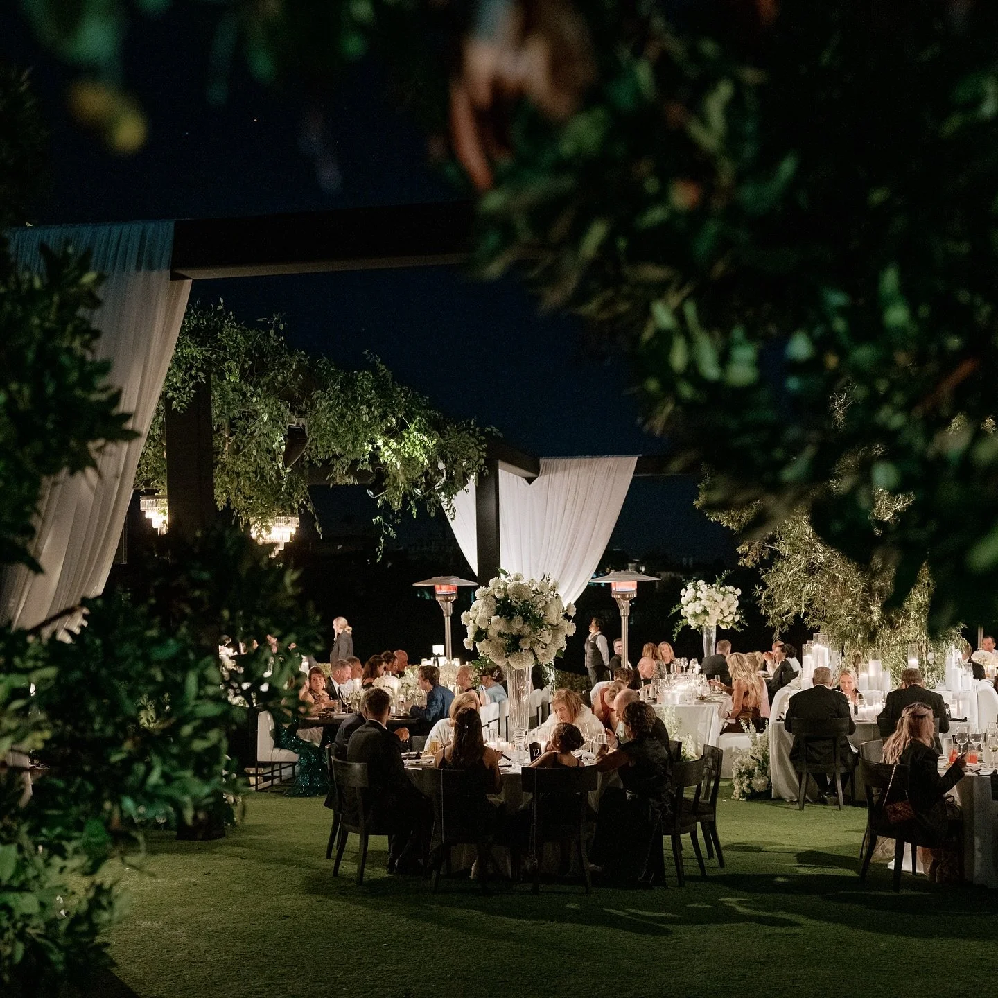 Our favorite part of the night - Surrounded by greenery and under the stars. It&rsquo;s the perfect balance of elegance and calm, where time slows down, and connection takes center stage. 🌿✨

Lighting l Structure #ambereventproduction 
Planning &amp