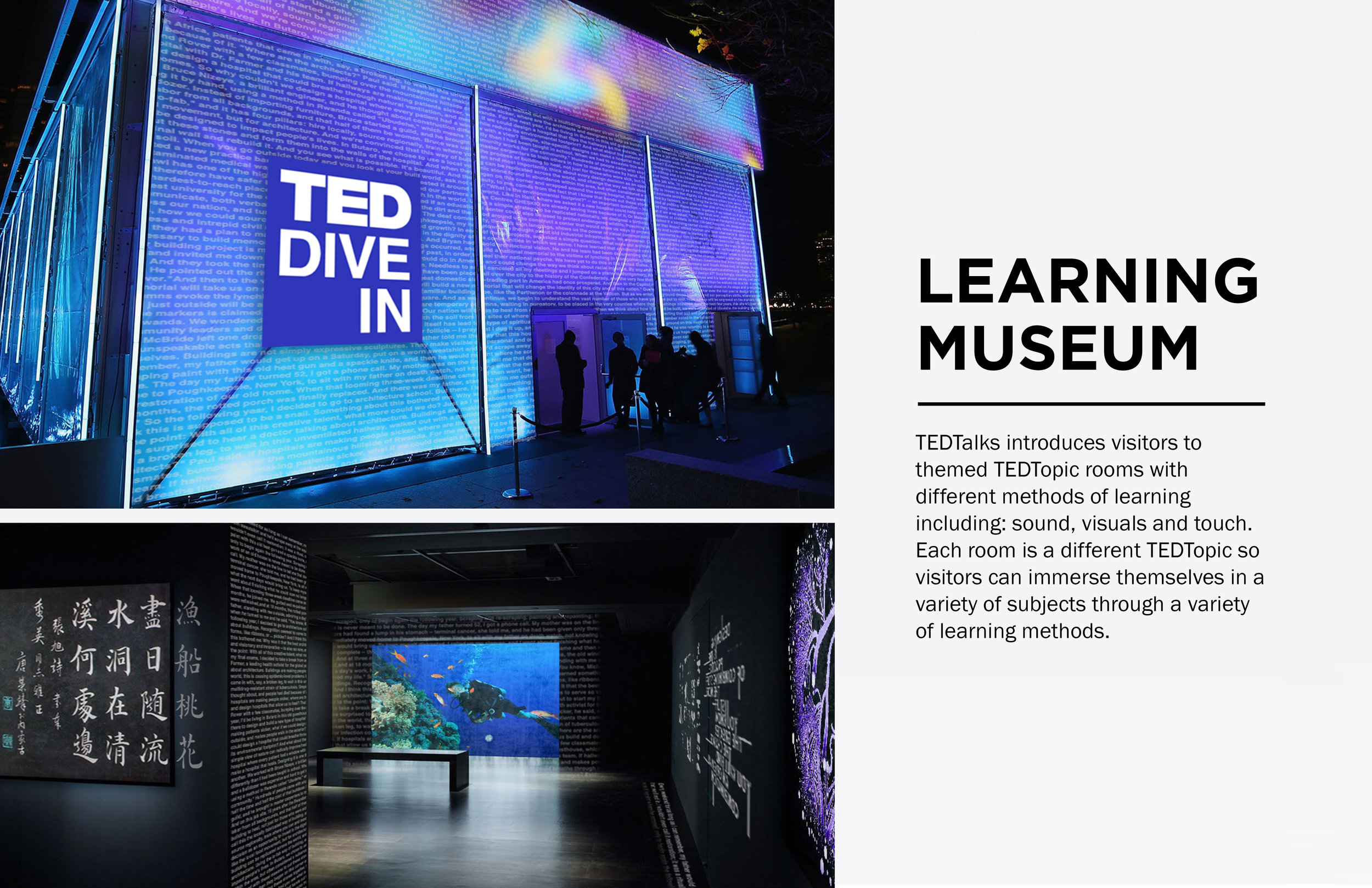 Ted MUSEUM.jpg