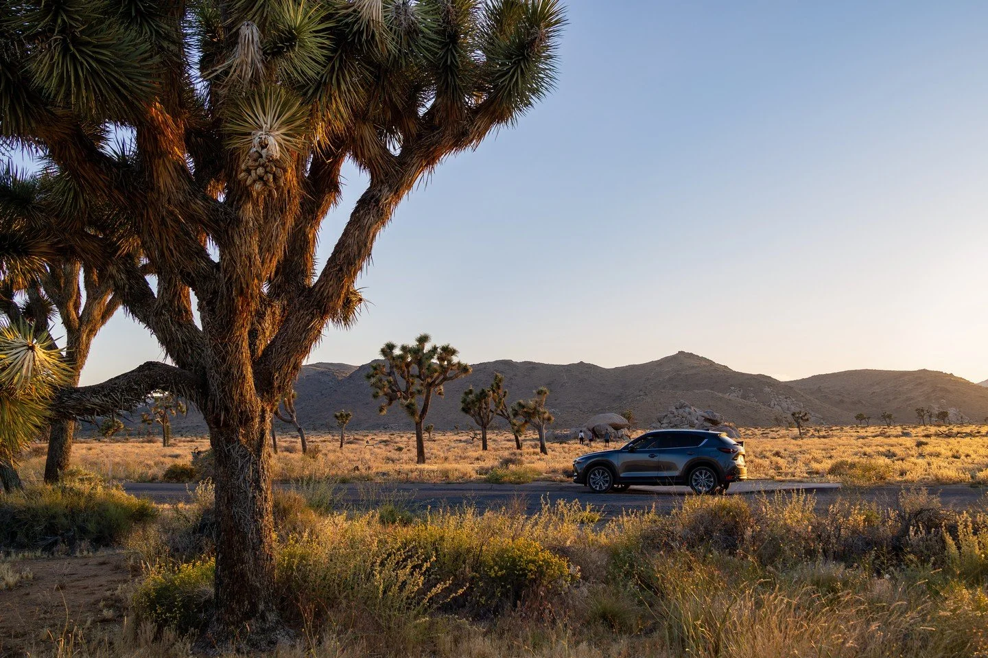 &bull; love letter to the cx-5 - 6.2.2023 &bull;
&bull;
&bull; (@mazdausa hire me)
&bull;
&bull;
&bull;
&bull;
&bull;
#californiaadventure #californiadreaming #californiagirl #nationalparks #californiacoastline #californiathroughmylens #californiamou
