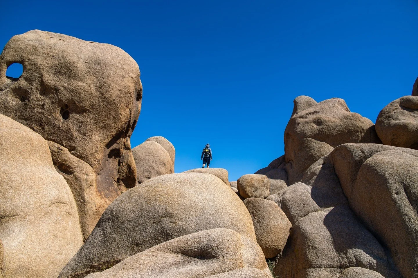 &bull; boulder-ing - 6.2.2023 &bull;
&bull;
&bull;
&bull;
&bull;
&bull;
#californiaadventure #californiadreaming #californiagirl #nationalparks #californiacoastline #californiathroughmylens #californiamountains #californiaroadtrips #CaliforniaNationa