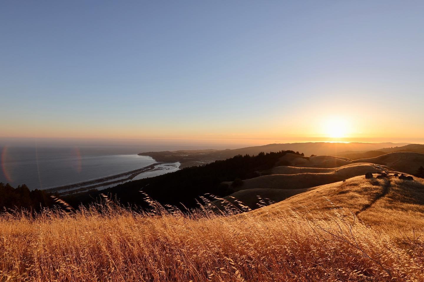 &bull; golden coast - 6.15.22 &bull;
&bull;
&bull;
&bull;
&bull;
&bull;
&bull;
#californiaadventure #californiadreaming #californiagirl #nationalparks #californiacoastline #californiathroughmylens #californiamountains #californiaroadtrips #california