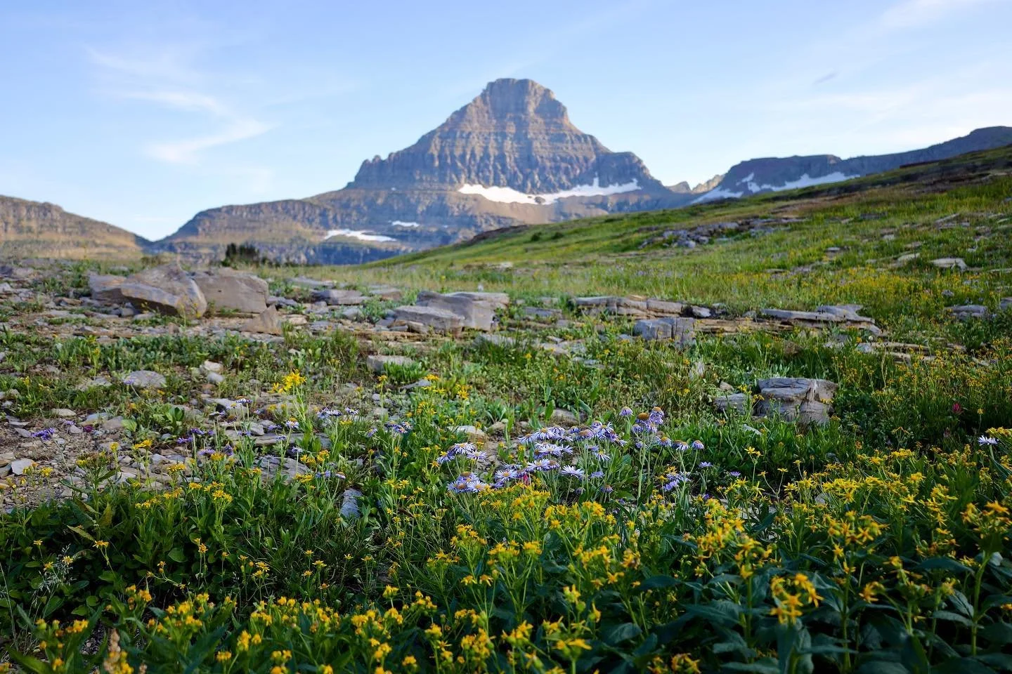 &bull; magical views - 8.19.22, Hidden Lake Trail &bull;
&bull;
&bull;
&bull;
&bull;
&bull;
&bull;
&bull;
#glaciernationalpark #glaciernationalparkmontana #glaciernps #glacierhiddenlakehike #glaciernp #hiddenlakelookout #hiddenlake #hiddenlaketrail #