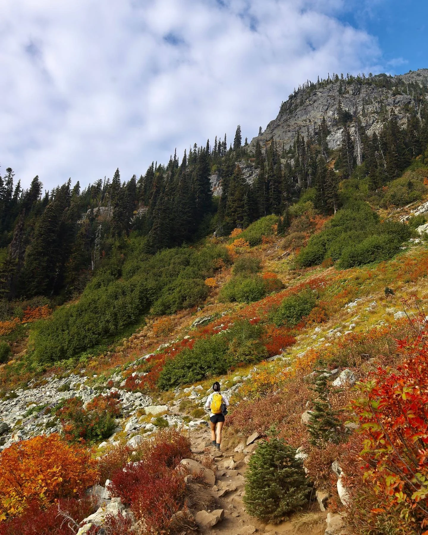 &bull; escaped to Washington to experience some seasons - 10.10.22, Heather-Maple Pass Trail &bull;
&bull;
&bull;
&bull;
&bull;
&bull;
&bull;
&bull;
#washingtontrails #nwexposure2022 #northcascadesnationalpark #northcascades #northcascadesnp #maplepa