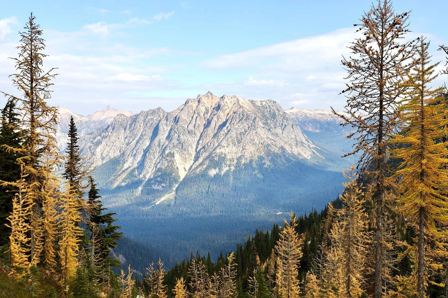 &bull; season of gold - 10.10.22, Heather-Maple Pass Trail &bull; 
&bull;
&bull;
&bull;
&bull;
&bull;
&bull;
&bull;
#washingtontrails #northcascadesnationalpark #northcascades #northcascadesnp #maplepassloop #maplepasslooptrail #maplepasshike #northc