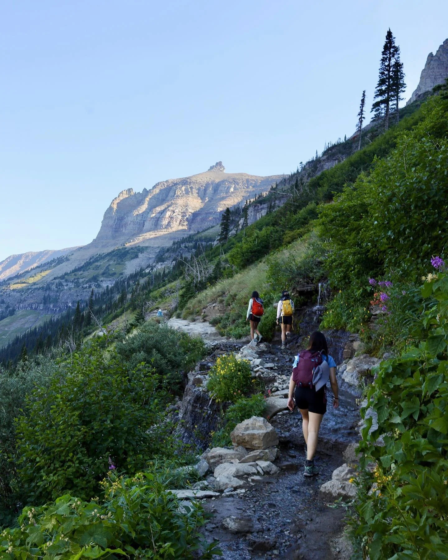 &bull; hell of a hike - 8.18.22, Highline Trail &bull;
&bull;
&bull;
&bull;
&bull;
&bull;
&bull;
&bull;
#glaciernationalpark #glaciernationalparkmontana #glaciernps #glacierhighline #glaciernp #highlinetrailglacier #highlinetrail #grinnellglacier #gr