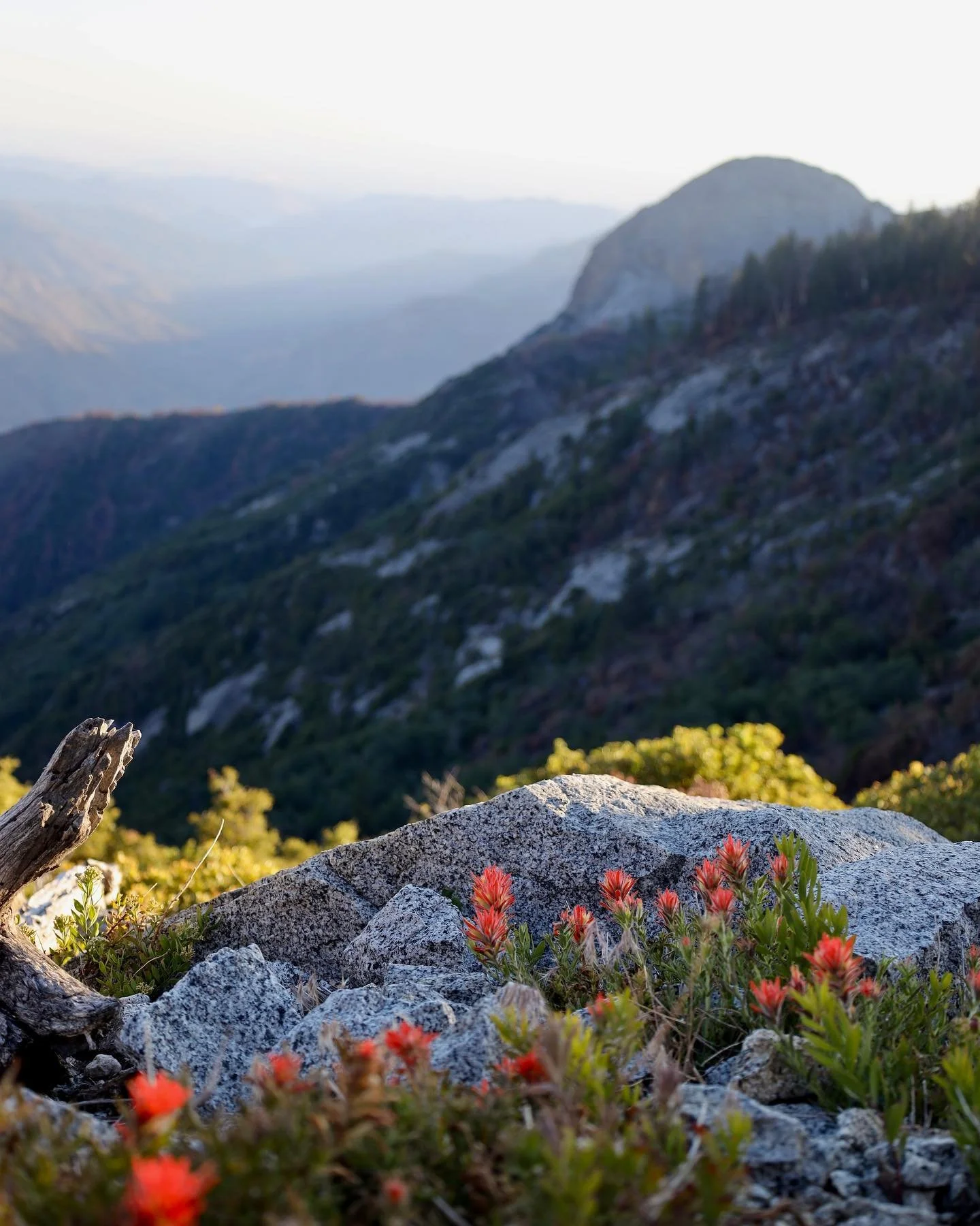 &bull; triptych of moro rock - 6.18.22, Eagle&rsquo;s View &bull;
&bull;
&bull;
&bull;
&bull;
&bull;
&bull;
#californiaadventure #californiadreaming #californiagirl #nationalparks #californiathroughmylens #californiamountains #girlswhohike #californi