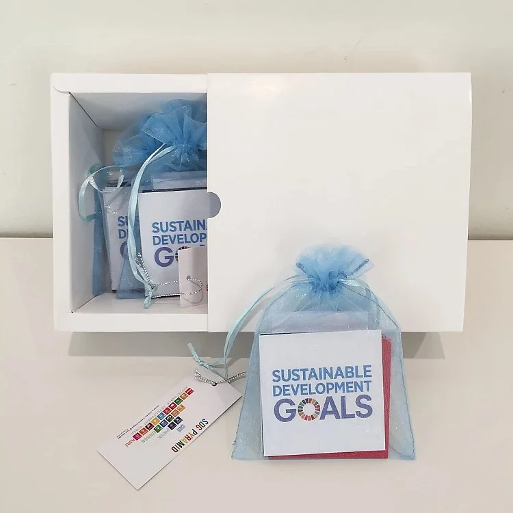 SDG Pyramid Game (English Version)