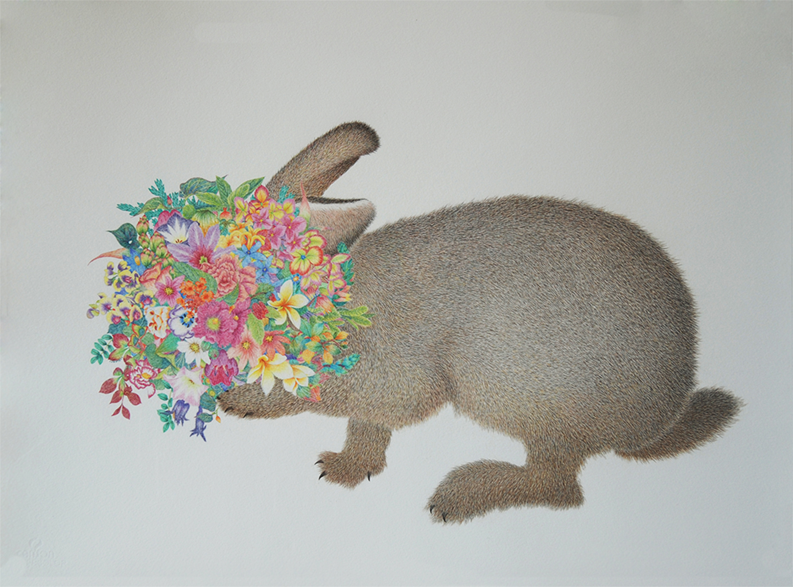 Rabbit, 58x77cm, color pencil on paper, 2013 兔子 58X77cm 纸上彩色铅笔 2013.jpg