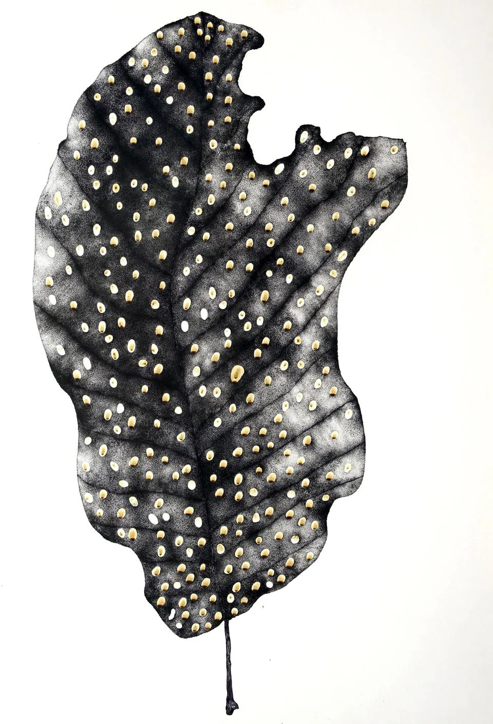 杉本塔玛埃，病叶之二(自残行为)，2010-2015，纸上圆珠笔，72.5×100.3 cm_副本.jpg
