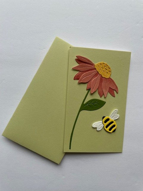 Daisy with bumblebee.jpeg