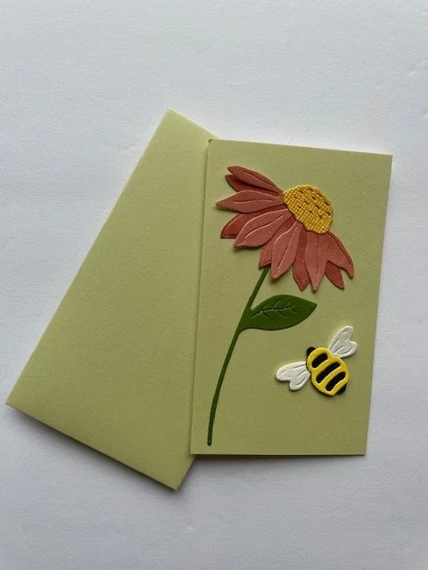 Daisy with bumblebee.jpeg
