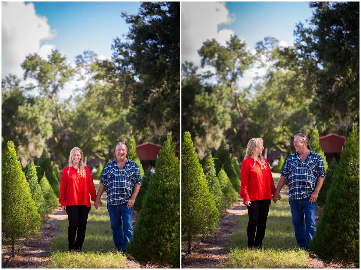 Eustis-Christmas-tree-farm.jpg