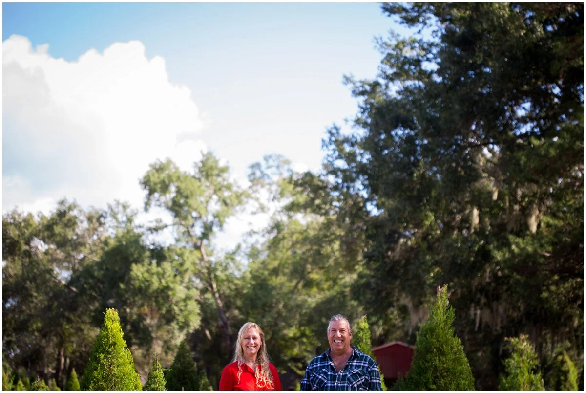 Central-Florida-Christmas-tree-farm.jpg