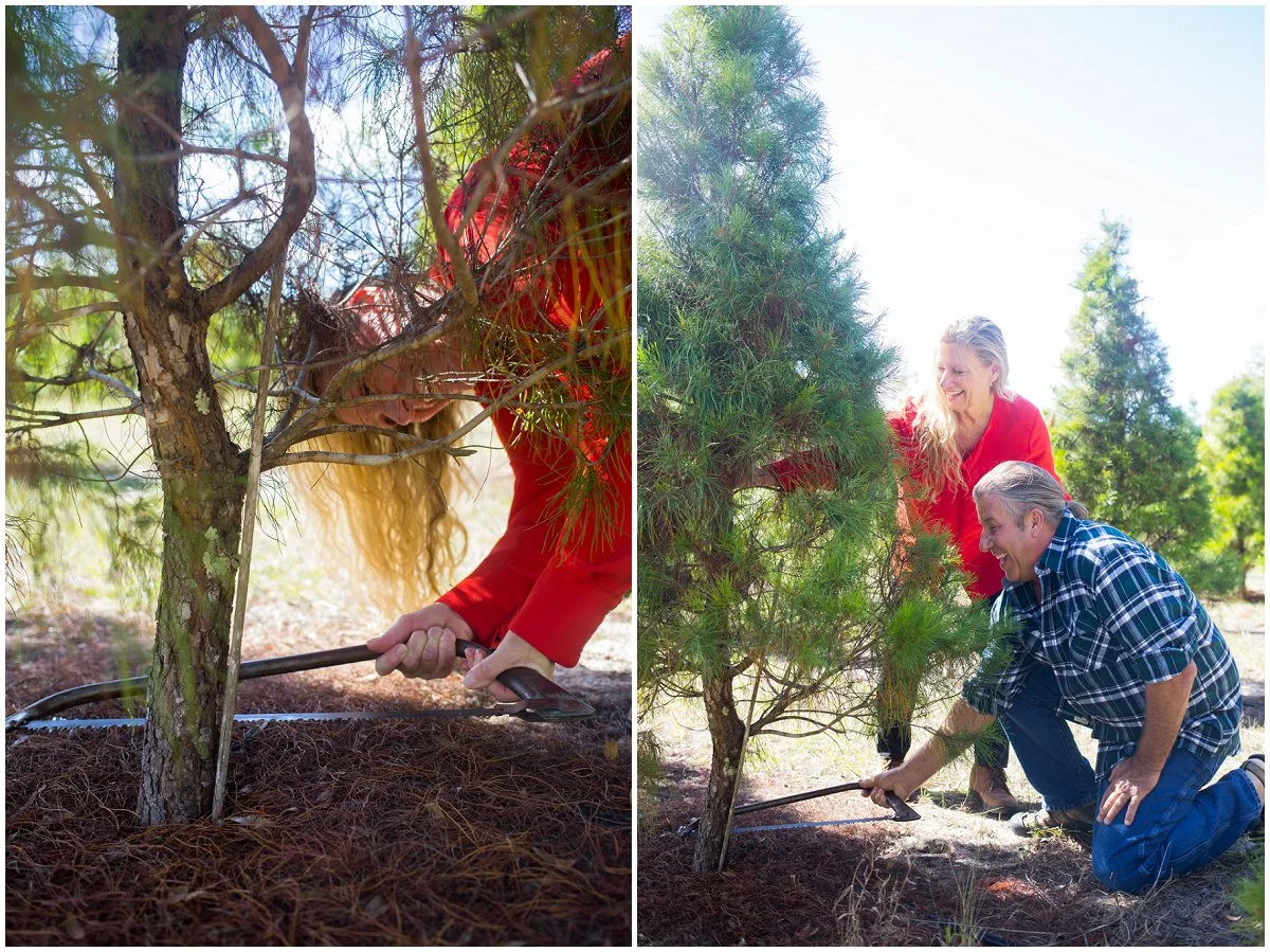 Eustis-Christmas-tree-farm-photographer.jpg