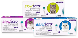 “Bravecto Topical Solution for Cats.” Merck Animal Health USA , www.merck-animal-health-usa.com/bravecto/topical-for-cats.