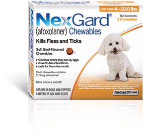 “Tasty Bite-Sized Flea & Tick Control.” NexGard® (Afoxolaner) Protection for Your Dog , nexgardfordogs.com/pages/about.aspx.