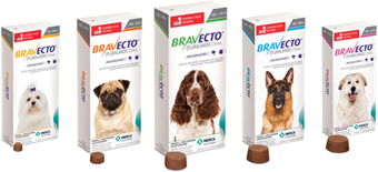 “Bravecto Chew for Dogs.” Merck Animal Health USA , www.merck-animal-health-usa.com/bravecto/chew-for-dogs.